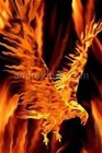 Picture for song 'Birds Aflame' by artist 'Priceless Music'