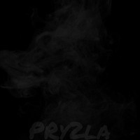 Picture for song 'Brass' by artist 'Pry2la'