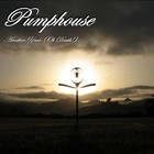 Picture for song 'Another Year' by artist 'Pumphouse'