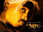 Picture for song 'If 2Pac was alive (Hip Hop)' by artist 'PURPS BEATS'
