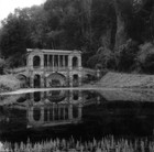 Picture for song 'Dying for Nothing' by artist 'ROBERT M LISANTI'