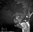 Picture for song 'Corubo - Mordaz' by artist 'Salute Records'