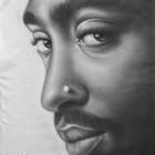 Picture for song 'major' by artist 'scrapdawg1000'