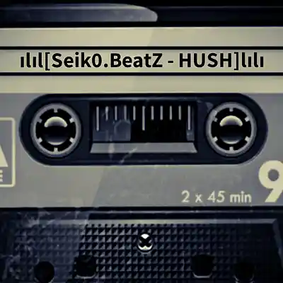 Picture for song 'Seik0.BeatZ - HUSH' by artist 'Seik0.BeatZ'