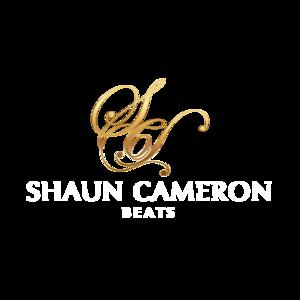 Picture for song 'Champ' by artist 'ShaunCameron Beats'