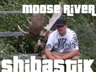 Picture for song 'Moose River' by artist 'Shibastik'