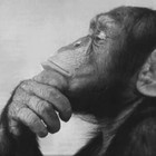 Picture for song 'THINKIN ABOUT A WAY | FREE DL' by artist 'SIKstrumentals'