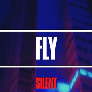 Picture for song 'FLY' by artist 'Silent The Producer'