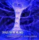 Picture for song 'THE METHODICAL WHIRLDWIND!' by artist 'S.W.A.D.E. (THE ONE AND ONLY)'