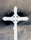 Picture for song 'Capistrated Disciple' by artist 'The Ebola ProJeKt'