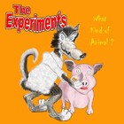 Picture for song 'Wave' by artist 'The Experiments'