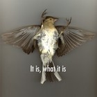 Picture for song 'Love' by artist 'thetworegs'