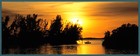Picture for song 'Everglades City' by artist 'Tom Adams'