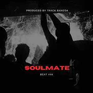Picture for song 'Track Bangsa-Soul Mate 110 BPM' by artist 'Track Bangsa'