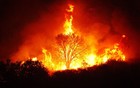 Picture for song 'The Fire *Lil Jon ft. T.I.* prod by Trouble' by artist 'Trouble Productionz'