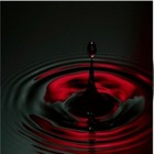 Picture for song 'Rockfire feat Charon Exkadi' by artist 'Vlad (Germany)'