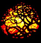 Picture for song 'My Baby Only Loves Me When I'm Drinking' by artist 'We Are The Om'