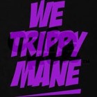 Picture for song 'Stay Trippy (Prod. By Y.A.P.)' by artist 'YungAceProductions'