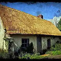Picture for song 'Take Me Home - Peat On Stone' by artist 'Celtic Haze'