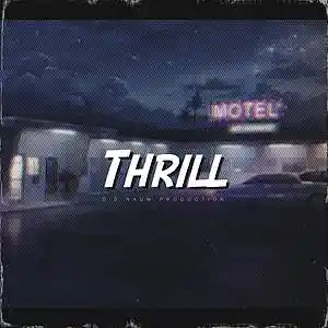 Picture for song 'THRILL (90s Classic Hip Hop X Chill Boom Bap Beat)' by artist 'Die Naum Production'