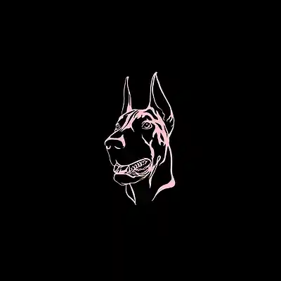 Picture for song 'Denja GLORILLA TYPE BEAT' by artist 'Flow Beats 888'