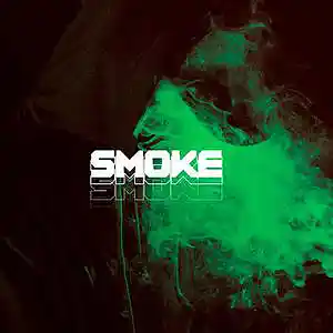 Picture for song '"Smoke" - Old School Boom Bap Type Beat 2022' by artist 'Prod.LionBeats'