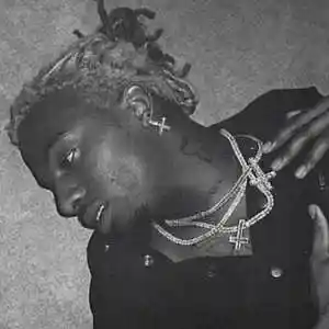 Picture for song 'BW playboicarti type beat' by artist 'Sapjer'