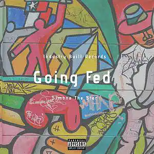 Picture for song 'The Shits' by artist 'Simone The Star'