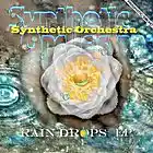 Picture for song 'Synthetic Orchestra - Amazonia Sunrise' by artist 'Synthetic Orchestra'