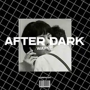 Picture for song 'AFTER DARK' by artist 'wayne.prods'