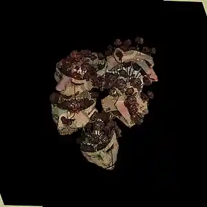 Song picture