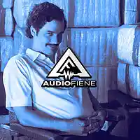 Picture for song 'Narcos Talk' by artist 'Audio Fiene'