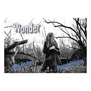 Picture for song 'Wonder' by artist 'Bob Forbes'