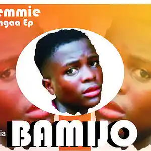 Picture for song 'Dc Themmie -Bamijo' by artist 'DC Themmie'