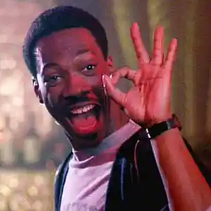 Picture for song 'beverly hills cop REMIX' by artist 'DJ ANARCHY'