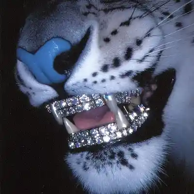 Picture for song 'BEAT TYPE Detroit SOMBRA PR x WYO GLIZZY' by artist 'Dray con Lean'