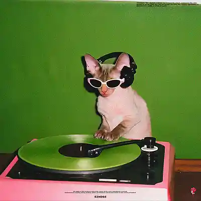 Picture for song 'Classic (Hip hop beat)' by artist 'Ezhdee'