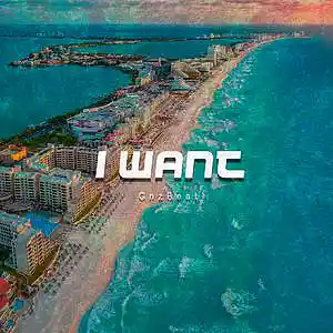 Picture for song 'I Want' by artist 'GnzBeat'