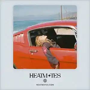 Picture for song 'Delorean (Miley Cyrus x Dua Lipa)' by artist 'HEATMATES'