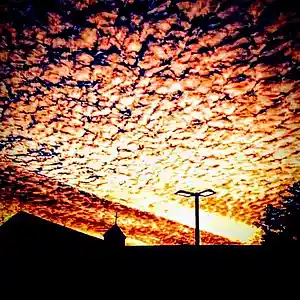 Picture for song 'Thy Wall Of JERICHO Shall CRUMBLE 1 M 50 S' by artist 'Err0r'