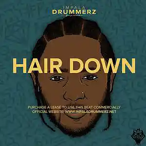 Picture for song 'Hair Down (BUY 1 GET 4 FREE)' by artist 'IMPALA DRUMMERZ'