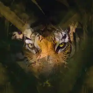 Picture for song 'Robbero - Hiding' by artist 'Robbero'