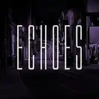Picture for song 'Echoes (SOLD)' by artist 'Woodtunez Beats'