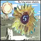 Picture for song 'Son shine' by artist 'champion hairpuller'