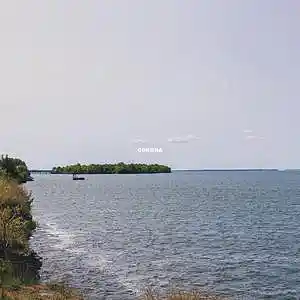 Picture for song 'Corona' by artist 'Lil Spaghet'