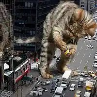 Picture for song 'Burn It All' by artist 'Mummified Monk'