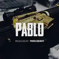 Picture for song 'Pablo' by artist 'Parabellum Beats'