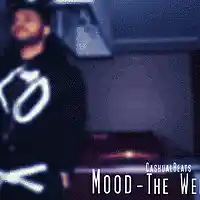 Picture for song 'Mood TheWeeknd Type' by artist 'Cashualbeats'
