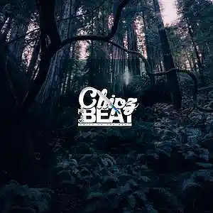 Picture for song '"Fr" / *TRAP*' by artist 'Chipz On The Beat'