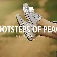 Picture for song 'Footsteps Of Peace ' by artist 'Digital Flashback Beats'
